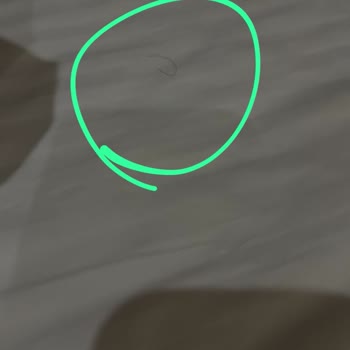 Gezione Turizm Vaat Edilen Konaklama ve Gezi Programı Kesinlikle Karşılanmadı