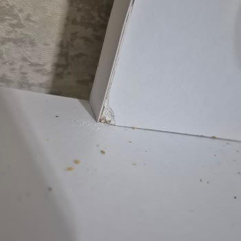 Eksik Çekmece Tabanları, Kırık Vida Ve Çizik Ayna: Kullanılamaz Makyaj Masası