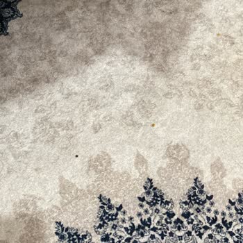 Haritalama Sorunu Ve Destek Eksikliği Nedeniyle Roborock S8 Pro+ İadesi Talebi