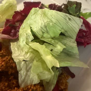 CIP Lounge’da Salata İçinde Böcek, Hijyen Sorunu Ve Personel İlgisizliği