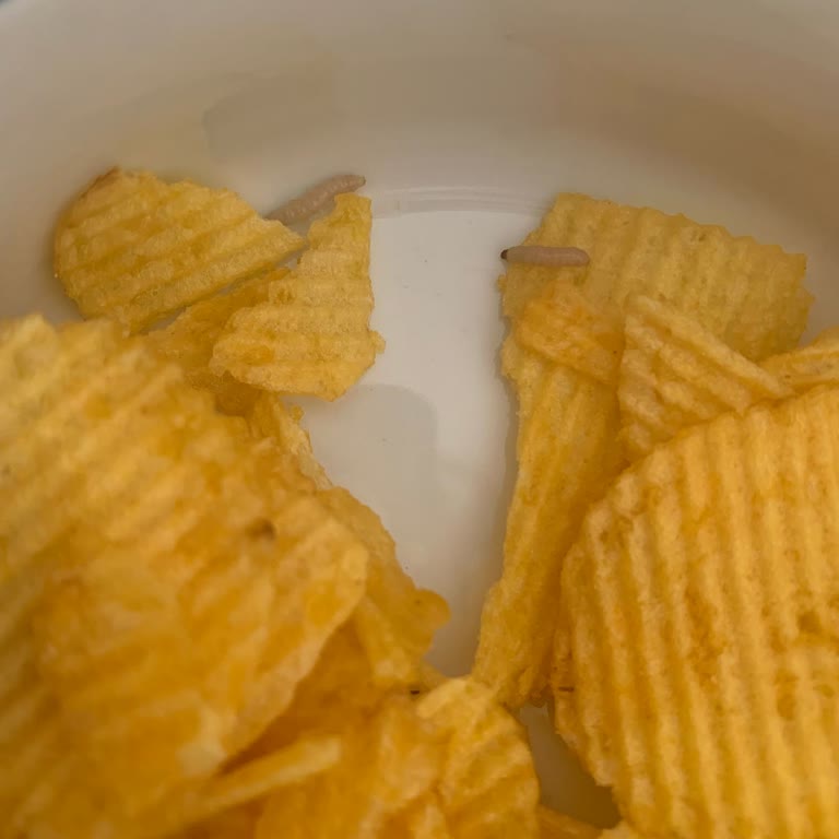 Ruffles Cips Paketinde Canlı Kurt Görülmesi Ve İade Talebi