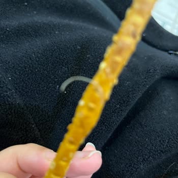 Ülker Susamlı Çubuk Krakerde Yabancı Madde Tespiti Ve Çocuk Sağlığı Endişesi