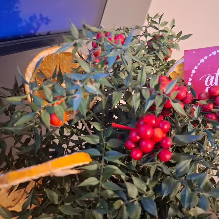 Yanıltıcı Görsel Ve Eksik Süslemeler Nedeniyle Hastaneye Ulaşmayan Çiçek