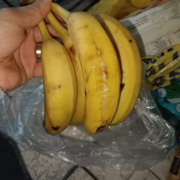 Şok Market'ten Gelen Bitlenmiş Pirinç Ve Yeşillenmiş Patates, Müşteri Hizmetleri İhmali