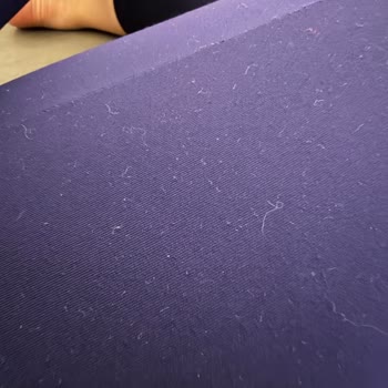 2200 TL’lik Taytın Hızlı Tüylenmesi Ve Değişim Talebi