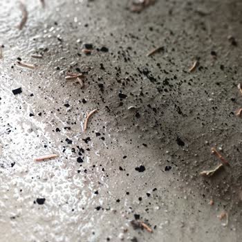 Yakıt Sızıntısı Ve Dumanı İle Tehlikeli Dizel Isıtıcıda Garanti Reddine İade Talebi