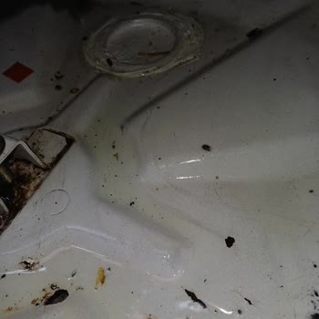 Yakıt Sızıntısı Ve Dumanı İle Tehlikeli Dizel Isıtıcıda Garanti Reddine İade Talebi