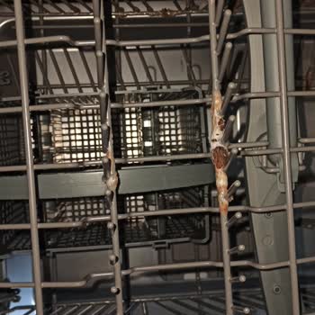 DW605S Bulaşık Makinesinde Sepetindeki Paslanma Garanti Kapsamına Alınmıyor