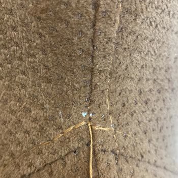 Doğtaş Mopark Mağazasında Defolu Koltuk Takımı Çözüm Yok İade Talebi