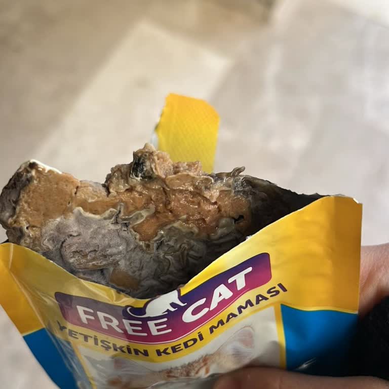 Free Cat Kedi Yaş Maması Küflendi, Sağlık Riski Ve Ücret İadesi Talebi