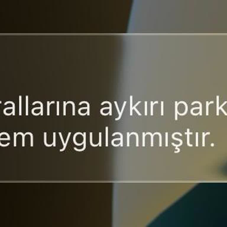 Martı Scooter Park İhlali Cezası Haksız, İptal Talebi