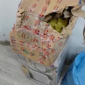 Kargonun Yanlış Araçla Taşınması Ve Boş Teslim Edilmesi Nedeniyle Tazminat Talebi