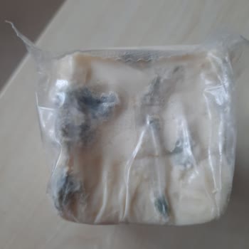 Son Kullanma Tarihi Geçmemiş Peynirde Küf Sorunu