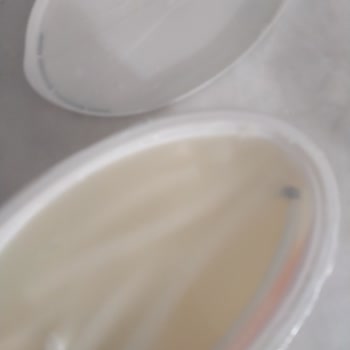 Ekici Peynir Son Kullanma Tarihi Geçmemiş Üründe Küf Sorunu