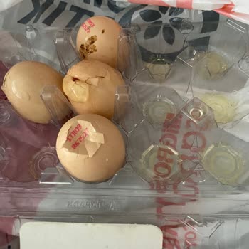 Kırık Ve Akmış Yumurta Teslimatı İçin İade Reddi Ve Cevapsız Müşteri Hizmetleri