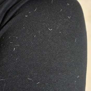 Kaz Tüyü Kabanının Tüy Dökülmesi Ve İlgisiz Mağaza Yaklaşımı