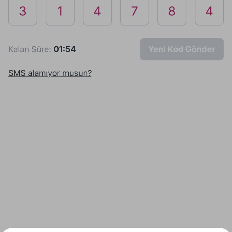 Kuik Para Mobil Uygulamasına Girişte Sürekli Network Error Hatası