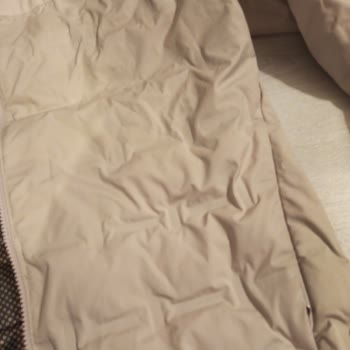 Columbia Montun Tüyü Kayboldu, Şubede Çözüm Yok