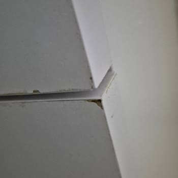 Eksik Çekmece Tabanları, Kırık Vidalar Ve Hasarlı Makyaj Masası