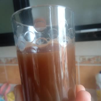 Renk Değişimi Ve Koku Eksikliğiyle Eyfel Çayında Kalite Sorunu