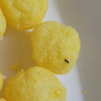 Çerezza Süt Mısırında Böcek Benzeri Yabancı Madde Ve Sağlık Endişesi