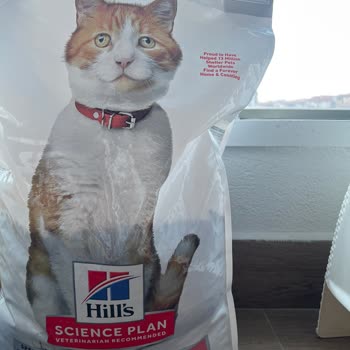 Kedimde Şiddetli Kusma Ve İshal Nedeniyle Hills Science Plan Mama İadesi Talebi