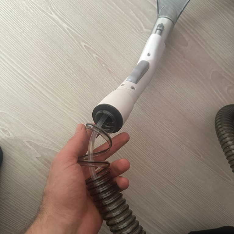 Kiwi Home Ciddi Bir Deformasyon Ve Ayrılma Meydana Geldi