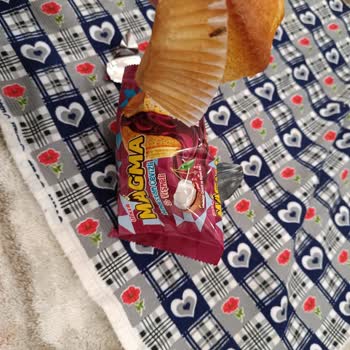 Magma Popkek’te Böcek Sorunu Ve İade Talebi