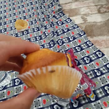 Magma Popkek’te Böcek Sorunu Ve İade Talebi