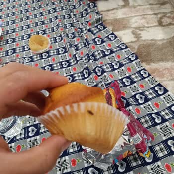 Magma Popkek’te Böcek Sorunu Ve İade Talebi