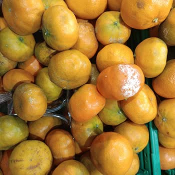 Migros Kartal Esentepe Şubesinde Çürük Meyve Ve Sebzeler Sorunu