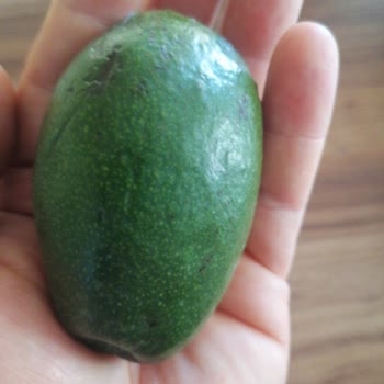 Avokado Boyutu Görseldeki Boyuta Uymadı Ve Satıcı Telafiyi Erteledi