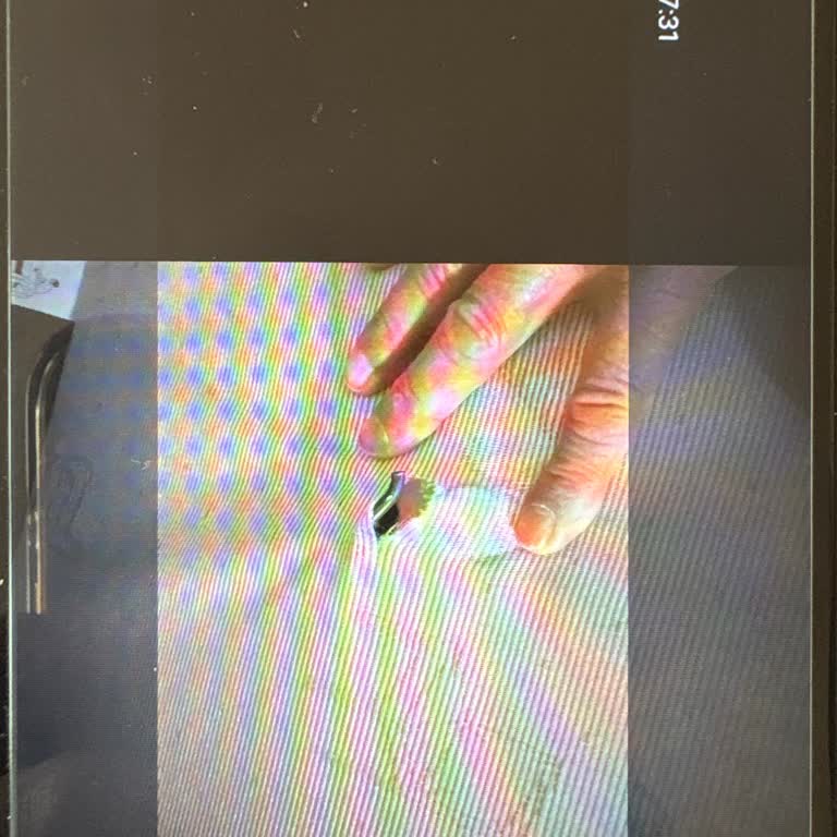 Bellona Yüksek Bedelli Koltukta Hızlı Çöküş Ve Cevapsız Servis Şikayeti