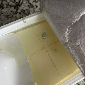 Son Kullanma Tarihi Geçmemiş Enka Süt Peynirinde Küf Ve İade Talebi