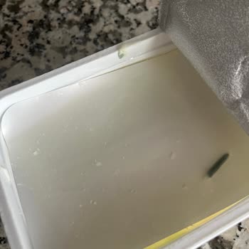 Son Kullanma Tarihi Geçmemiş Enka Süt Peynirinde Küf Ve İade Talebi