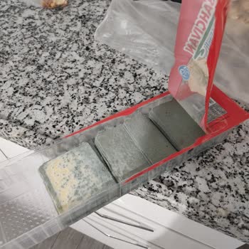 Bahçıvan Tost Peyniri Kısa Sürede Küflendi