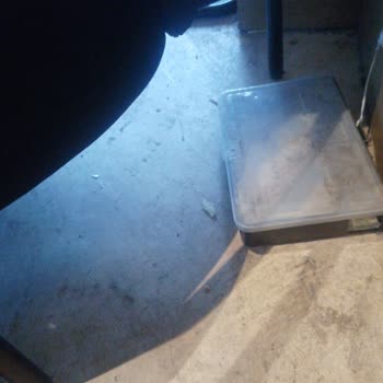 Lüleburgaz Kahve Dünyası Şubesinde Kirli Zemin Ve Hijyen Sorunu