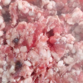 Kebapta Hijyen Sorunu: Kan Benzeri Cisimler