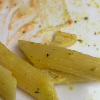 Tavuk Dünyası'nda Sinekle Karşılaşılan Hijyen İhlali Ve Soğuk Personel Tutumu