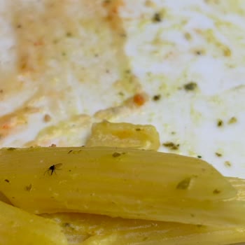 Tavuk Dünyası'nda Sinekle Karşılaşılan Hijyen İhlali Ve Soğuk Personel Tutumu