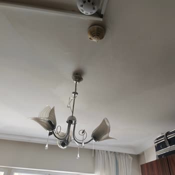 Karanfil Kız Apart | Diyarbakır Yaşanan Bakımsızlık Ve İlgisizlik