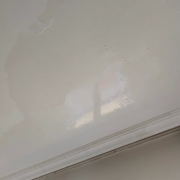 Karanfil Kız Apart | Diyarbakır Yaşanan Bakımsızlık Ve İlgisizlik