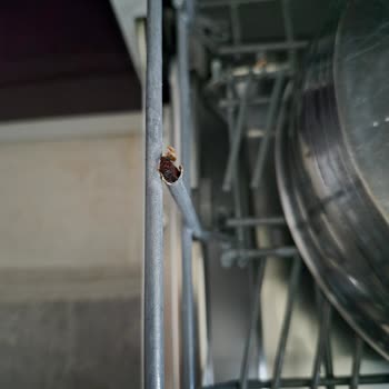 Samsung Bulaşık Makinesi Sepetindeki Paslanma İçin Ücretsiz Parça Değişimi Talebi