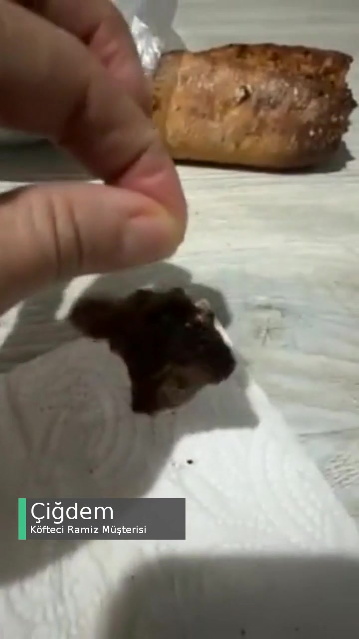 Köfteci Ramiz Kıllı Yemek! videonun kapak resmi