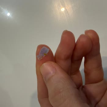 Tadım Antep Fıstıklı Barında Mavi Plastik Parça