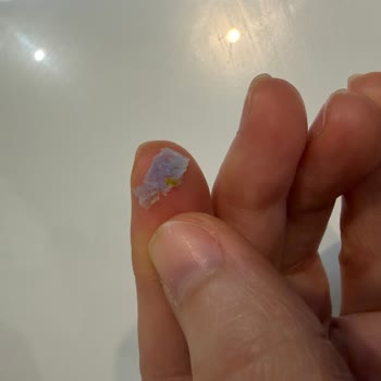 Tadım Antep Fıstıklı Barında Mavi Plastik Parça