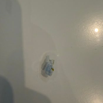 Tadım Antep Fıstıklı Barında Mavi Plastik Parça