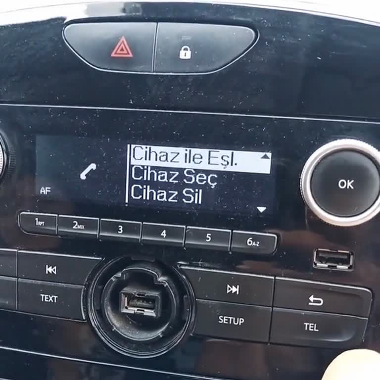 Renault Clio Bluetooth Cihazları Silinmiyor, Sistem Hatası