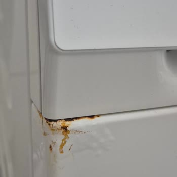 Siemens Çamaşır Makinesinde Pas Sorunu Güveni Sarsıyor