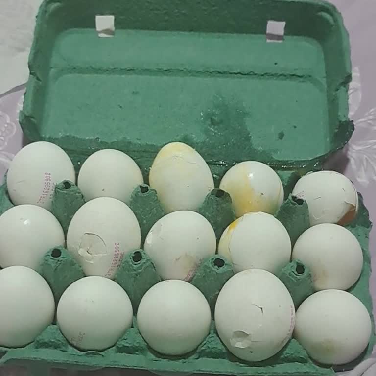 Kırık Yumurta Teslimatı İçin İade Ve Değişim Talebi